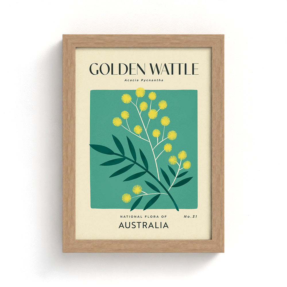 Golden Wattle of Australia Art Print