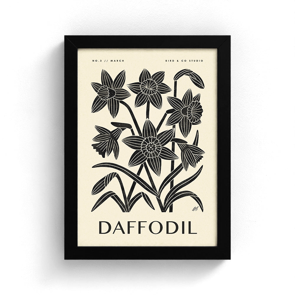 March Daffodil Art Print