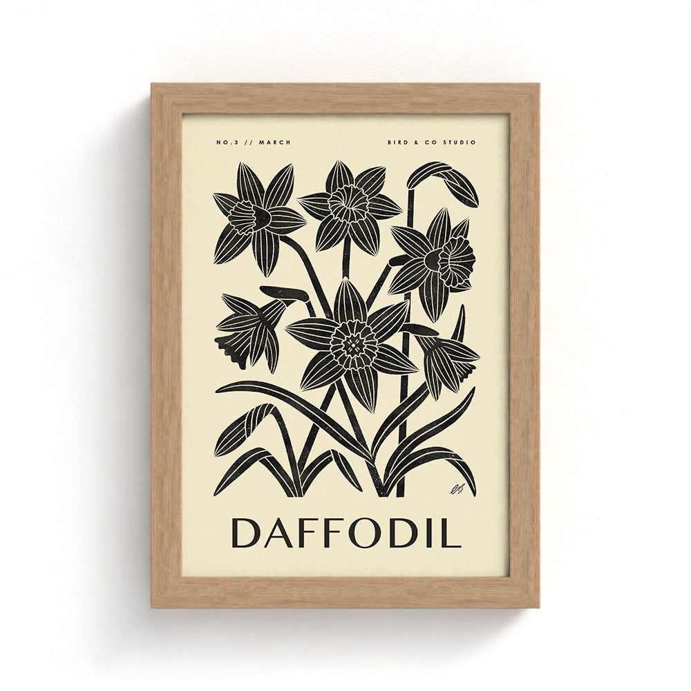 March Daffodil Art Print