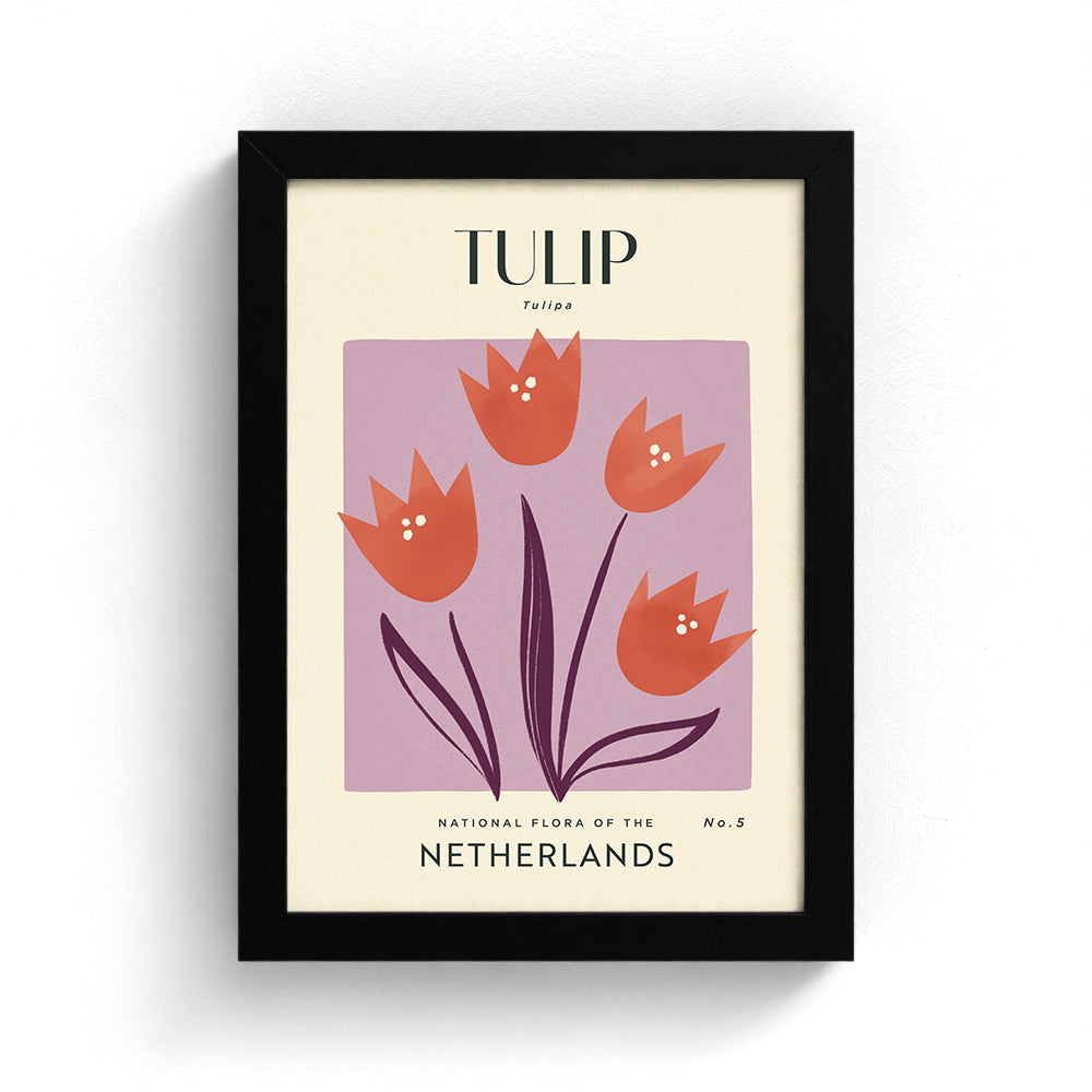 Tulip of The Netherlands Art Print