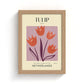 Tulip of The Netherlands Art Print