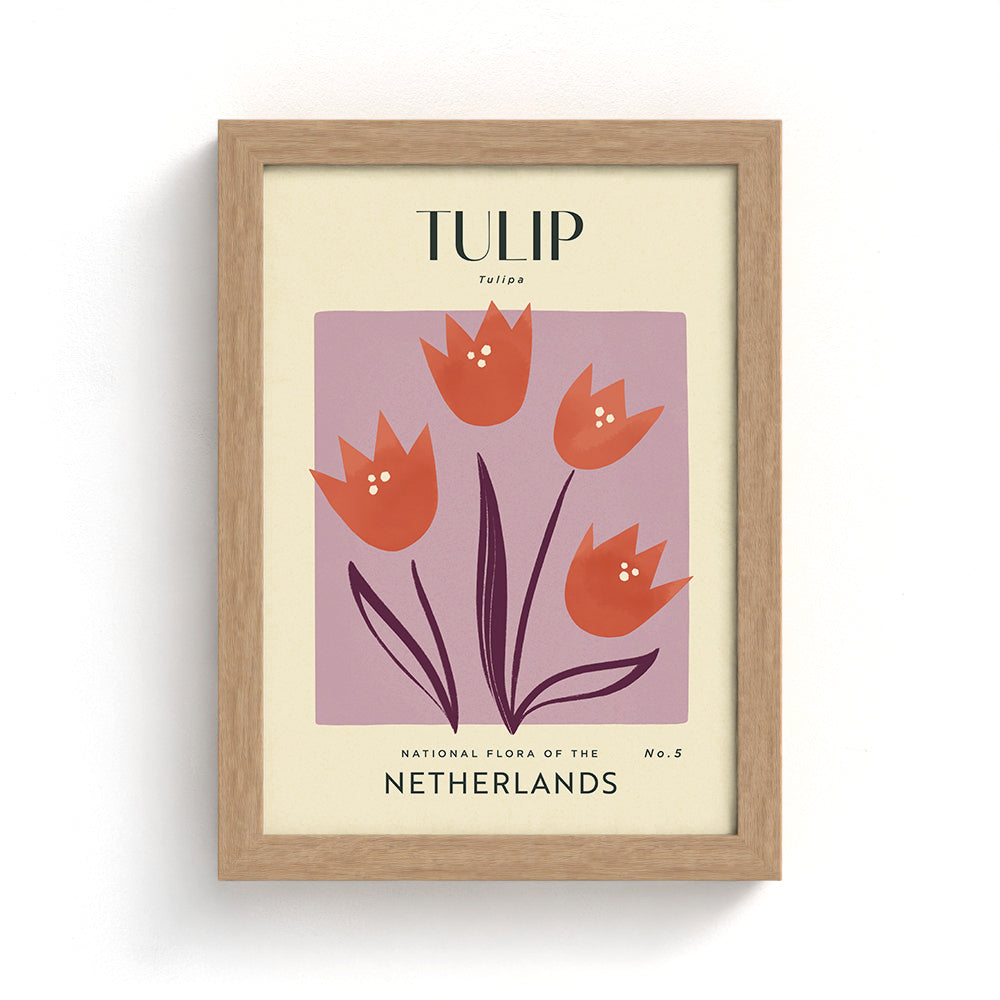 Tulip of The Netherlands Art Print