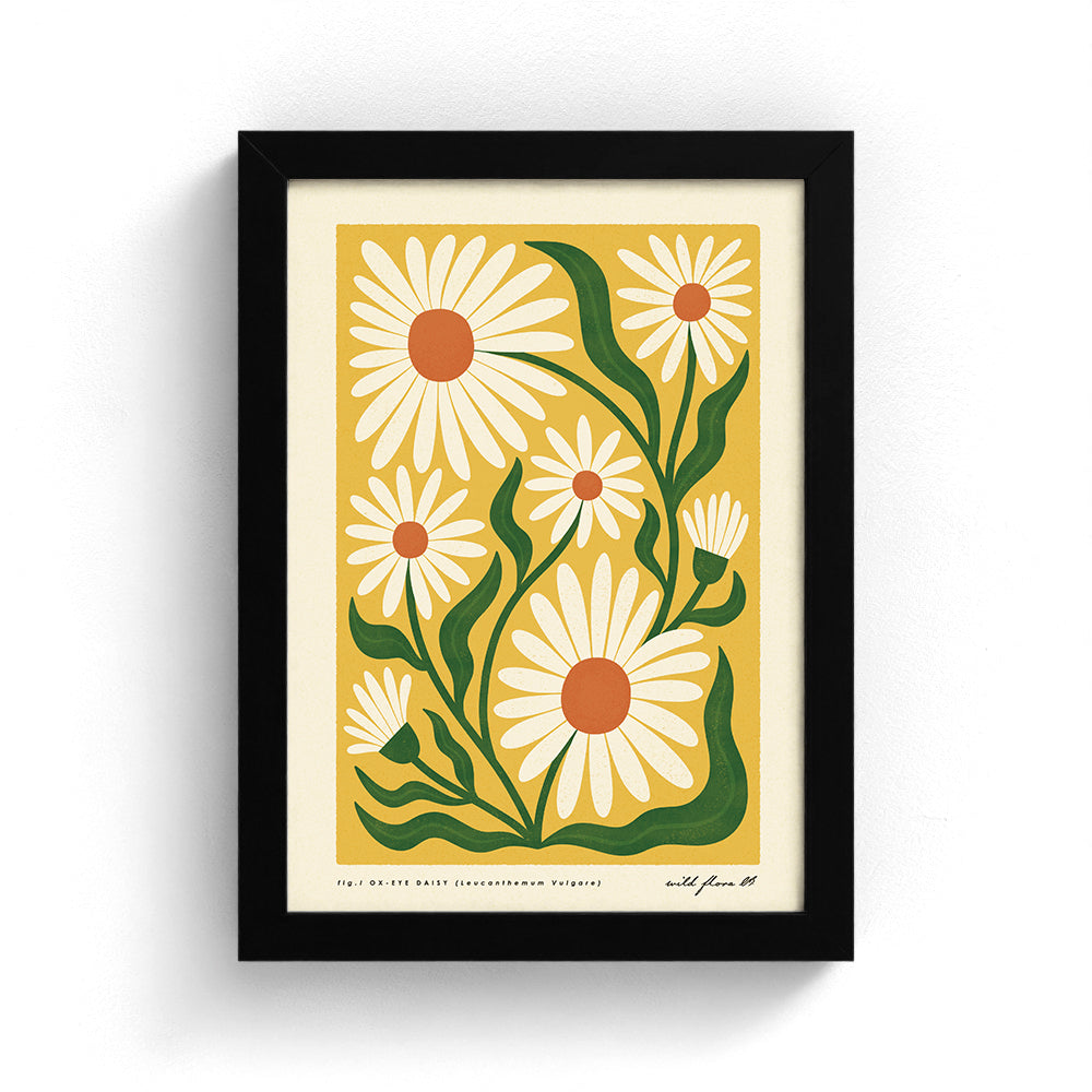 Ox-Eye Daisy Art Print