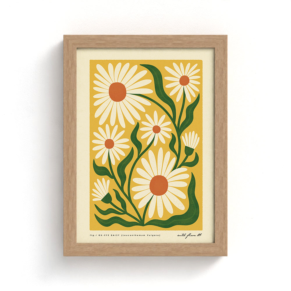 Ox-Eye Daisy Art Print