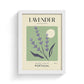 Lavender of Portugal Art Print