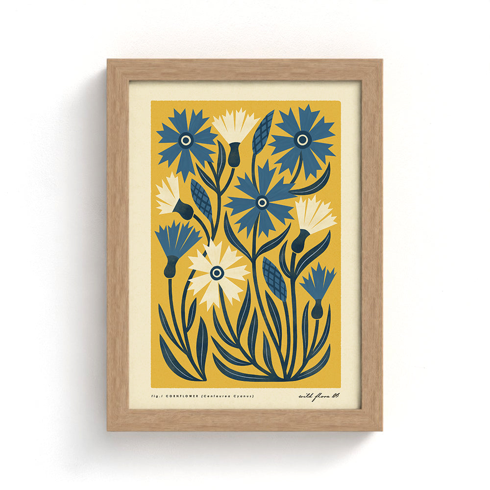 Cornflower Art Print
