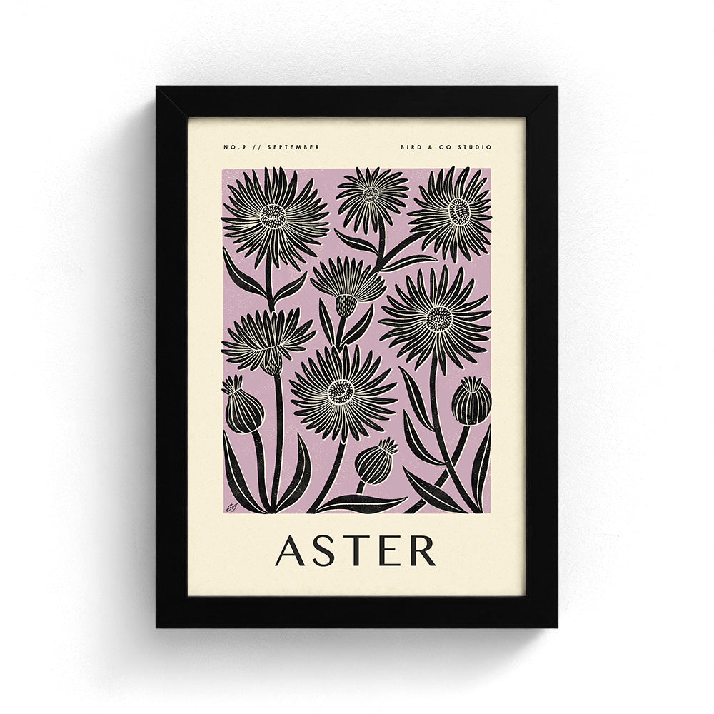September Aster Art Print