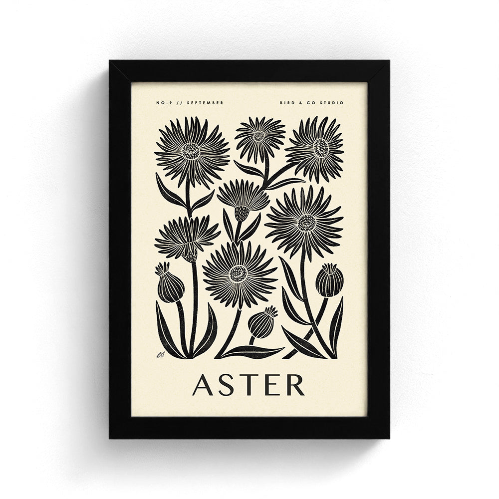 September Aster Art Print