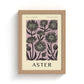 September Aster Art Print