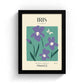 Iris of France Art Print