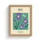 Iris of France Art Print