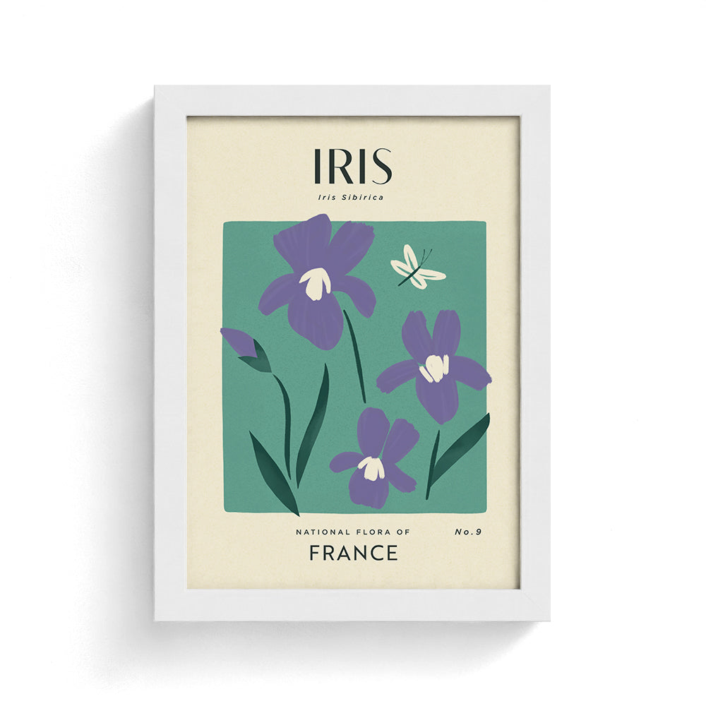 Iris of France Art Print