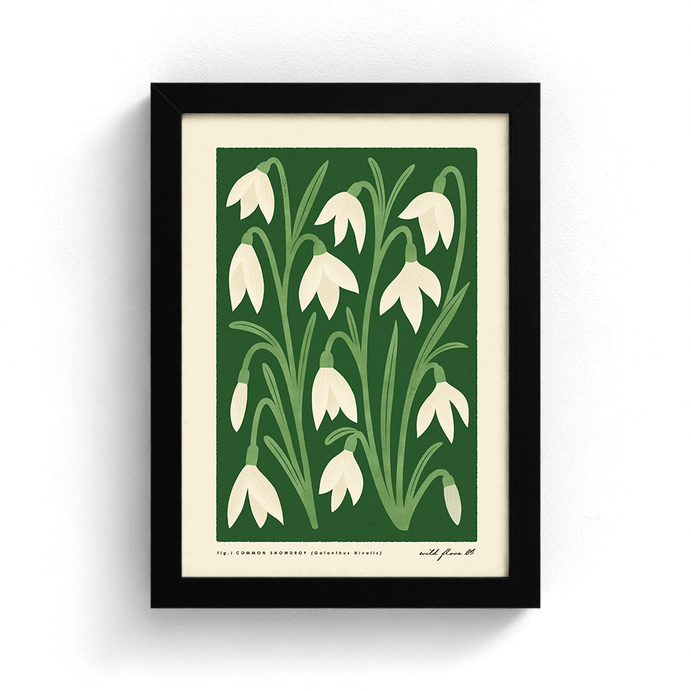Snowdrop Art Print