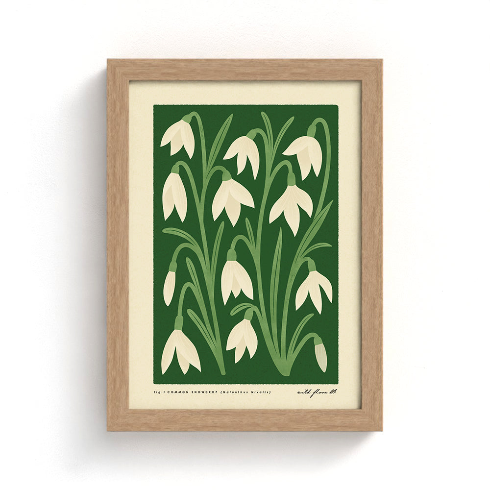 Snowdrop Art Print