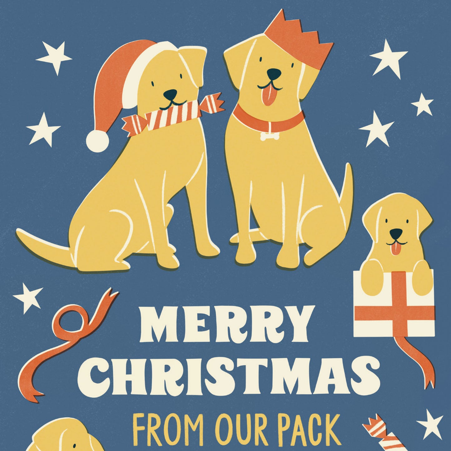 Fun Dog Family Christmas Card