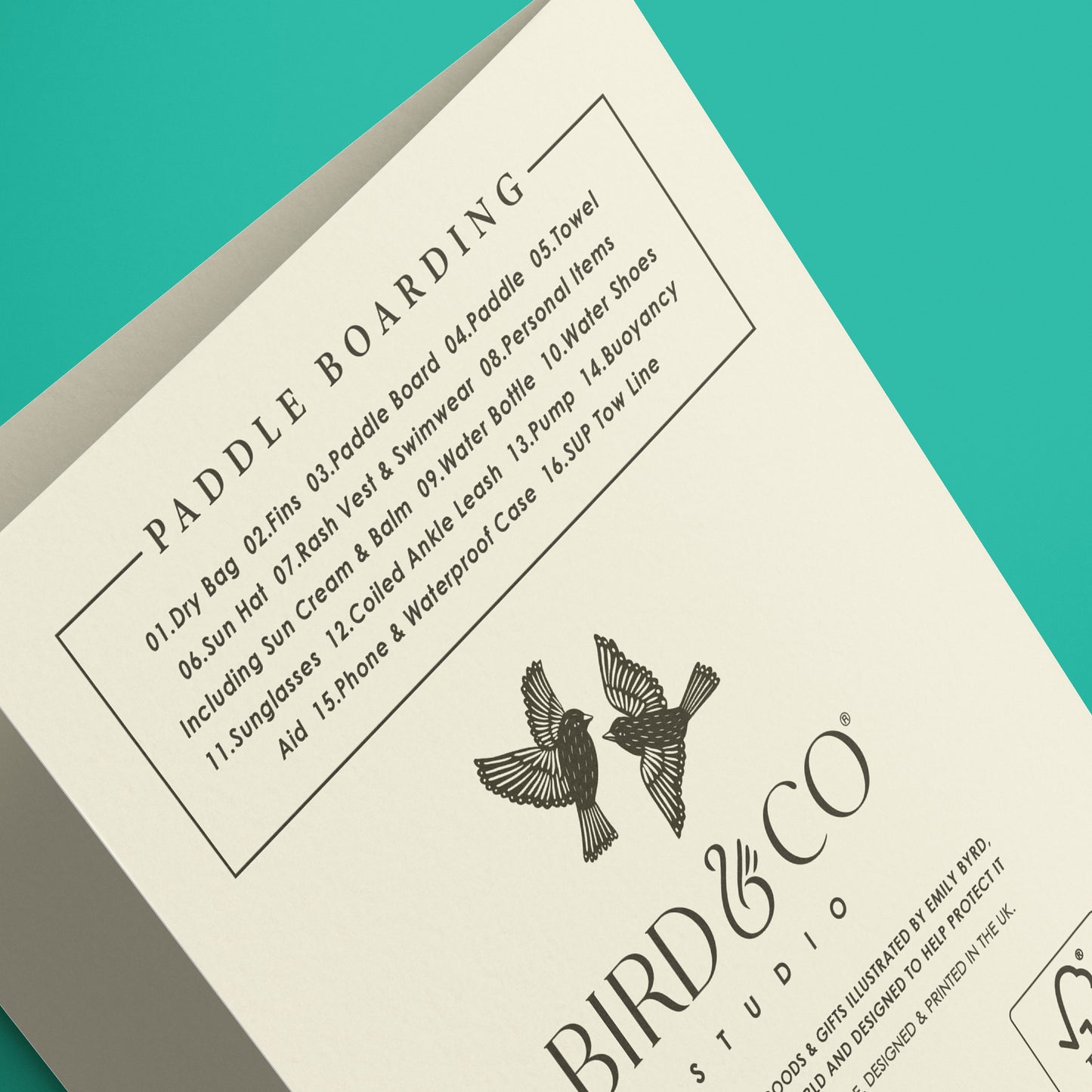 Paddle Boarding Kit Birthday Card