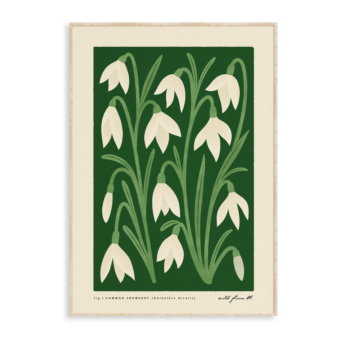 Snowdrop Art Print