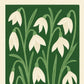 Snowdrop Art Print