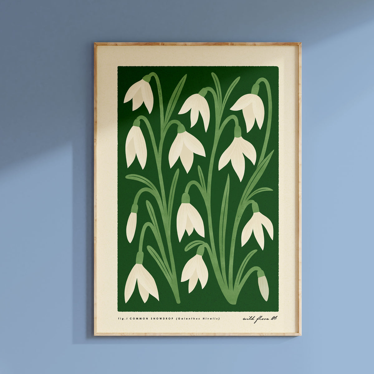 Snowdrop Art Print