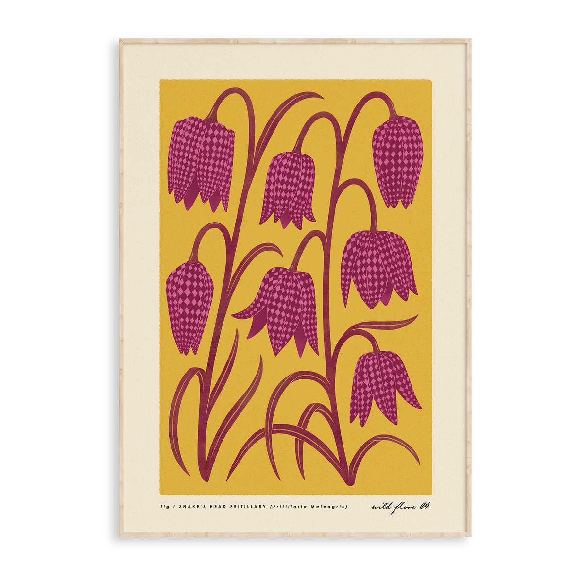 Snake's Head Fritillary Art Print