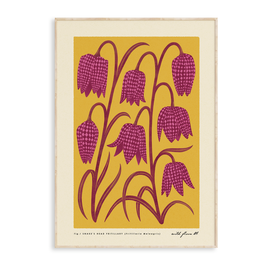 Snake's Head Fritillary Art Print