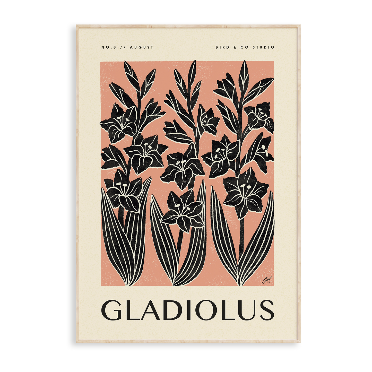 August Gladiolus Art Print