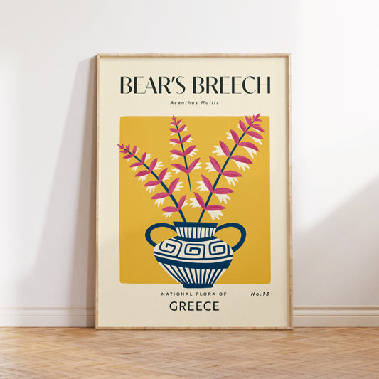 Bear's Breech of Greece Art Print