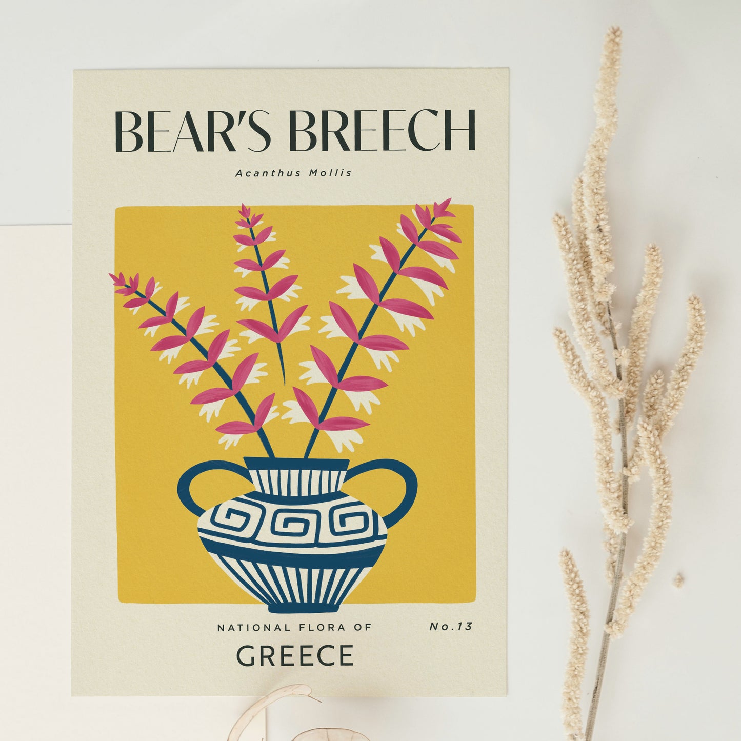 Bear's Breech of Greece Art Print