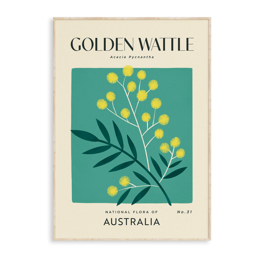 Golden Wattle of Australia Art Print