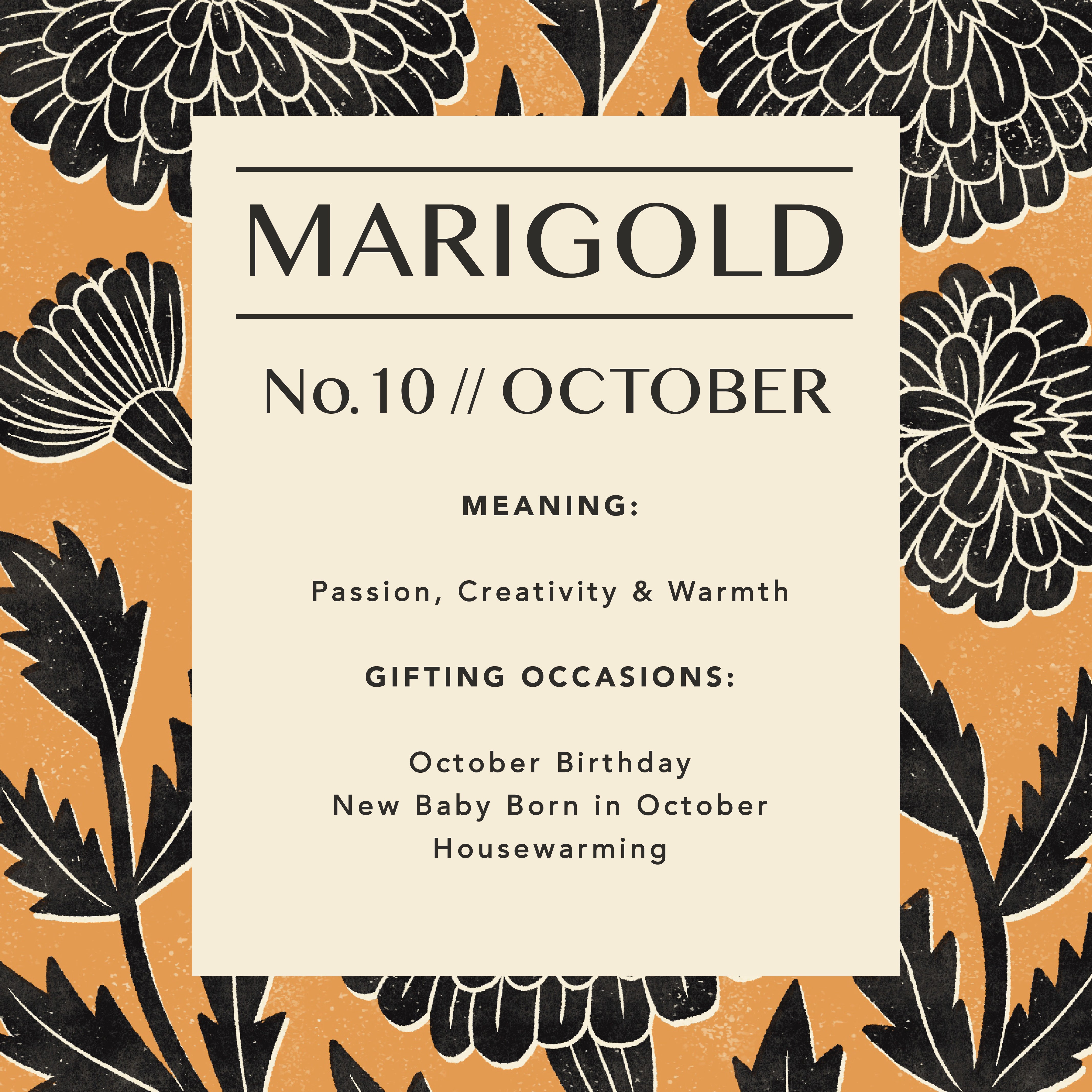 October Marigold Art Print