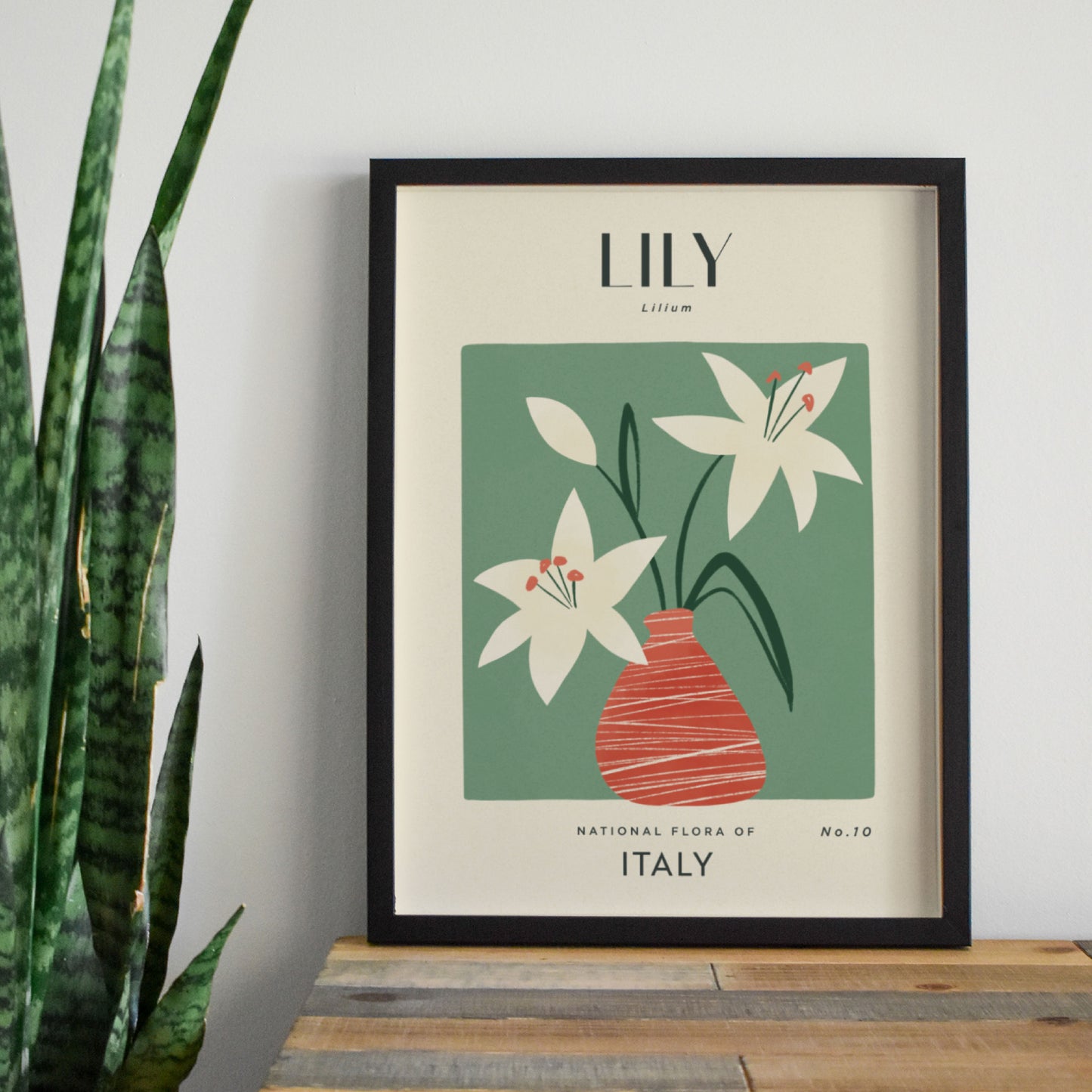 Lily of Italy Art Print