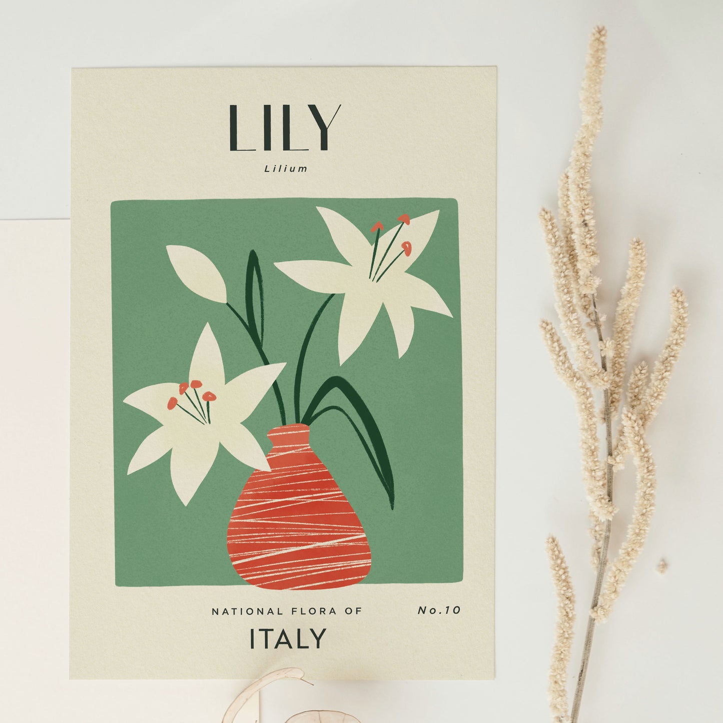 Lily of Italy Art Print