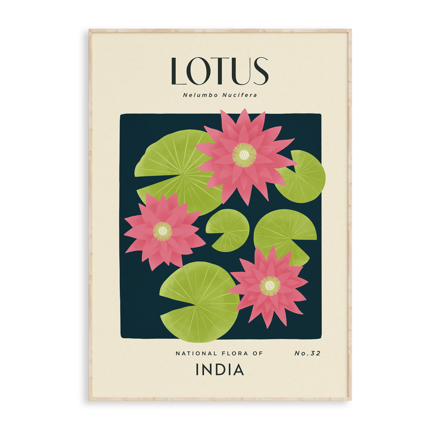Lotus of India Art Print