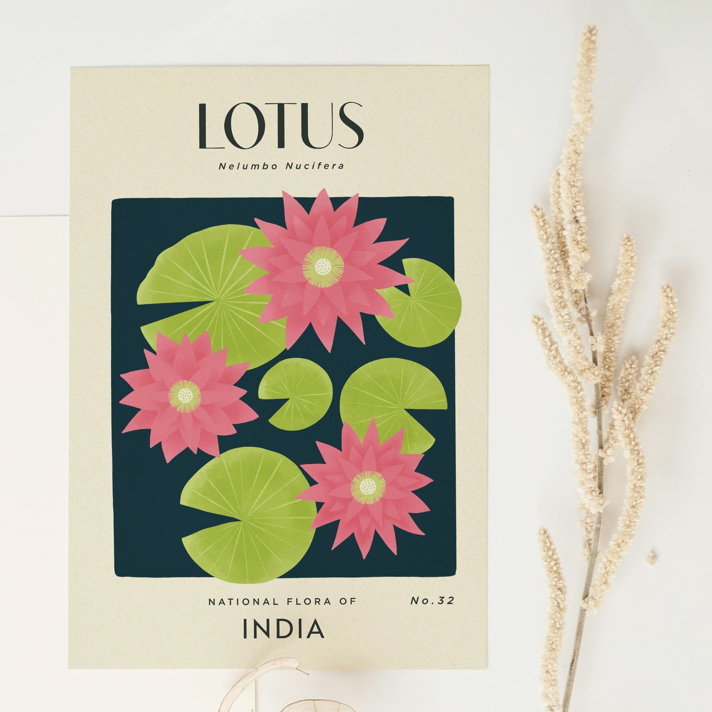 Lotus of India Art Print