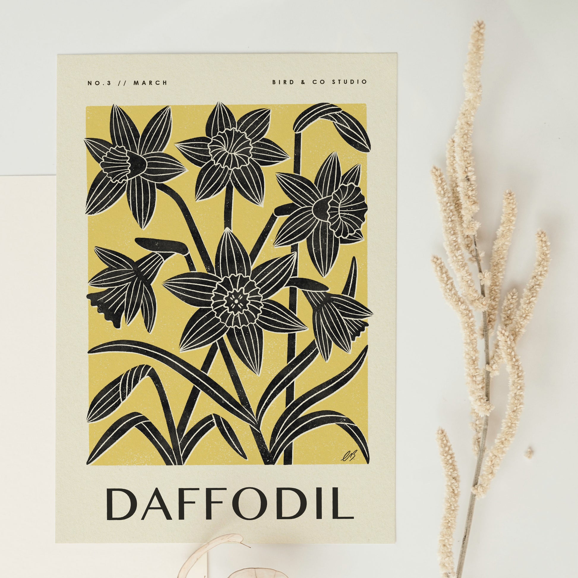 March Daffodil Art Print – Bird & Co Studio