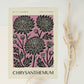 November Chrysanthemum Art Print
