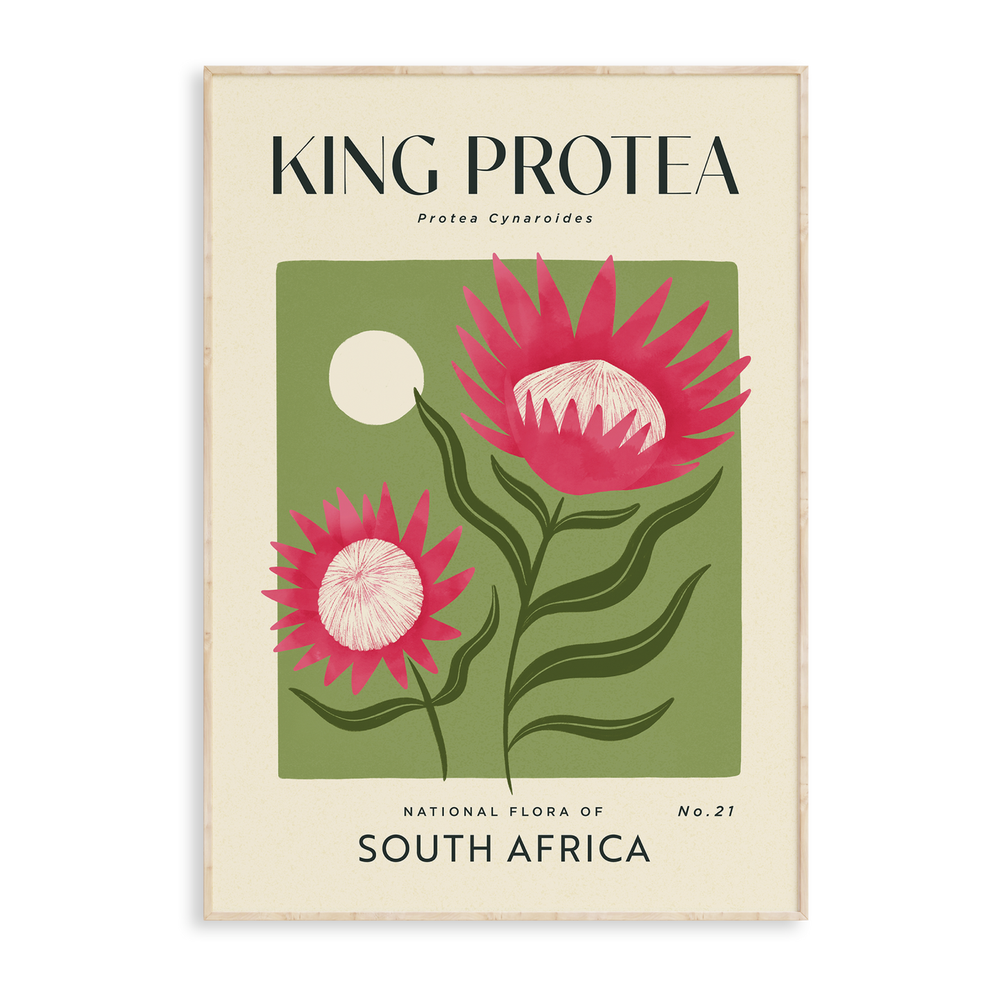King Protea of South Africa Art Print