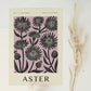September Aster Art Print