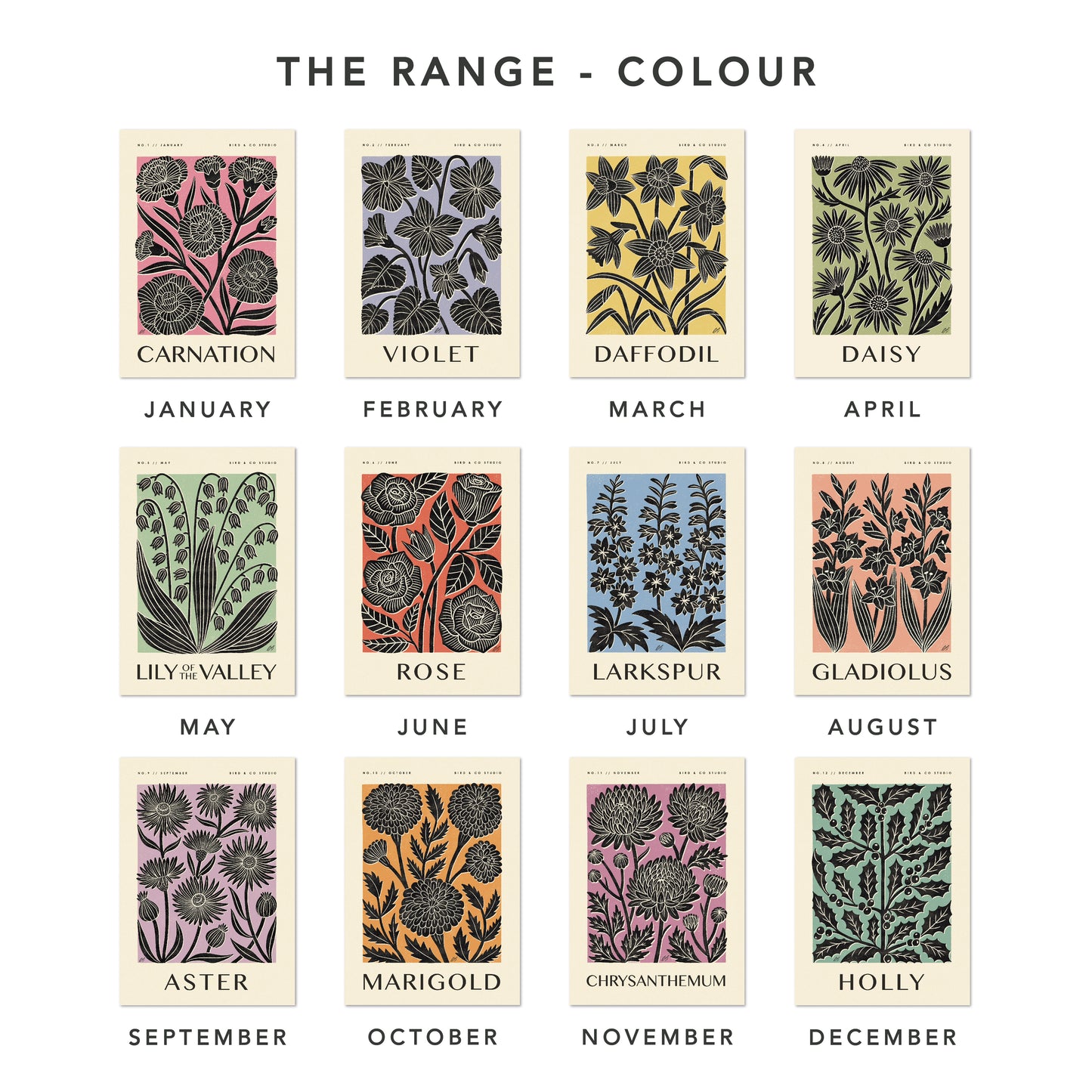 September Aster Art Print