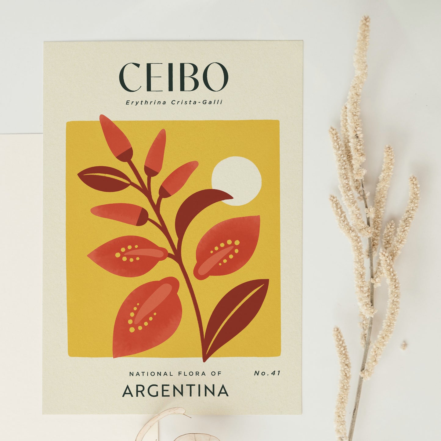 Ceibo of Argentina Art Print
