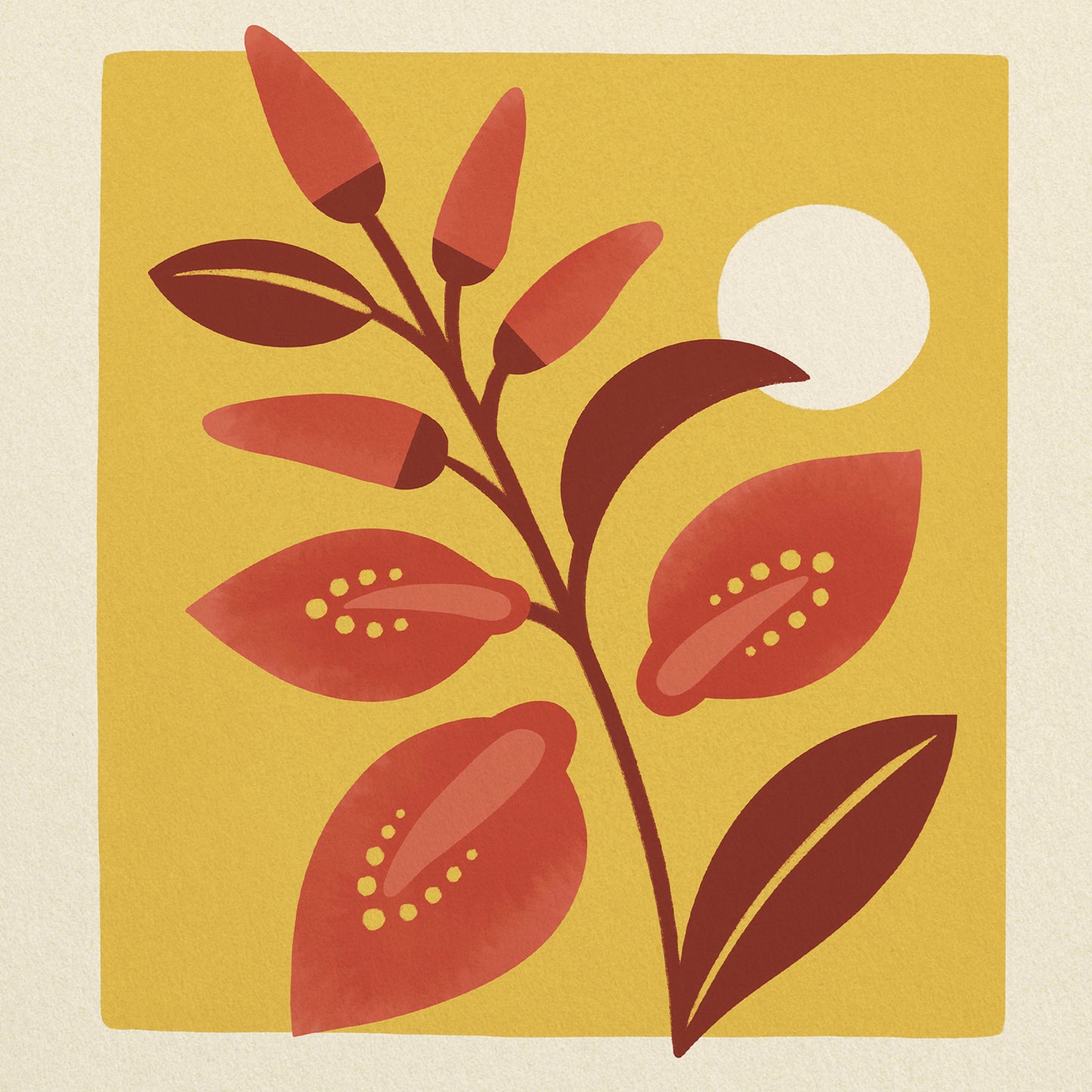 Ceibo of Argentina Art Print