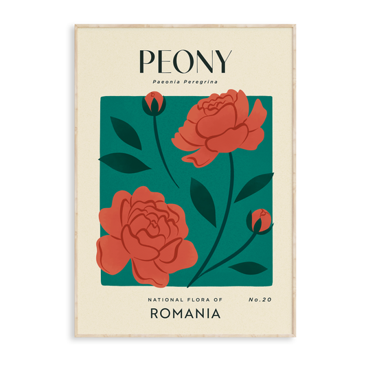 Peony of Romania Art Print