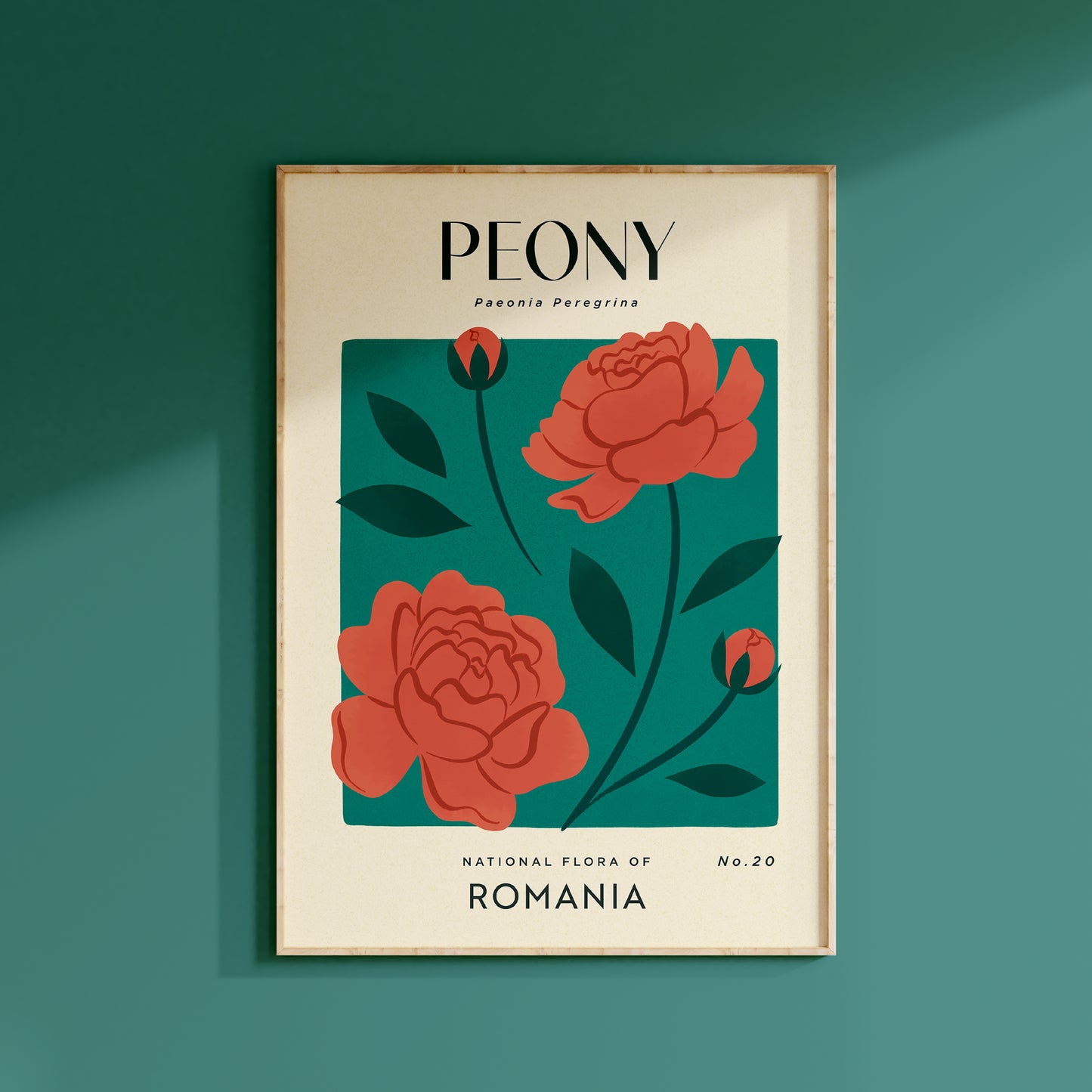 Peony of Romania Art Print