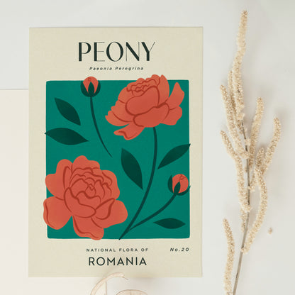 Peony of Romania Art Print