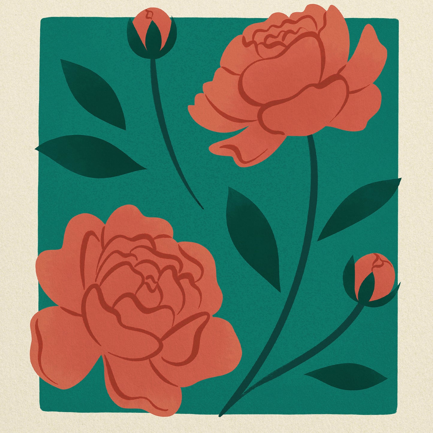 Peony of Romania Art Print