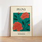 Peony of Romania Art Print