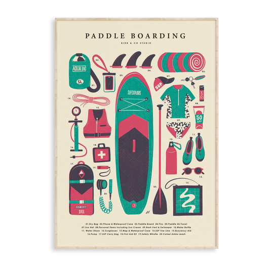 Paddle Boarding Kit Art Print