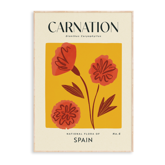Carnation of Spain Art Print