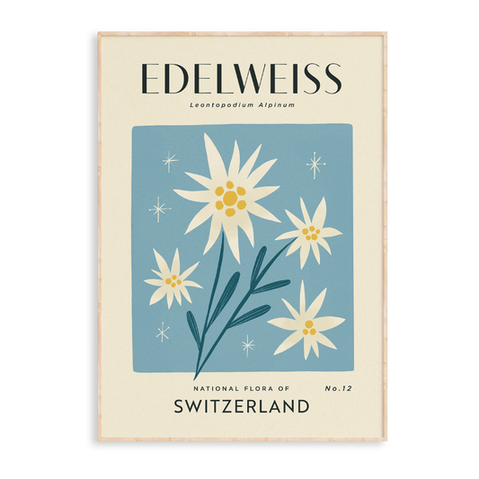 Edelweiss of Switzerland Art Print