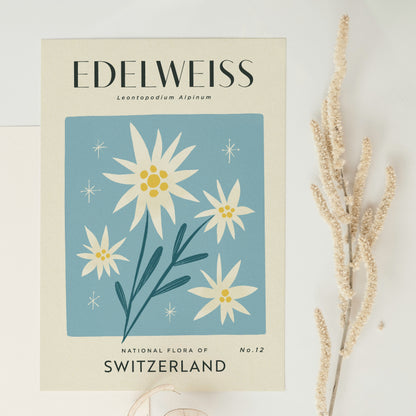 Edelweiss of Switzerland Art Print